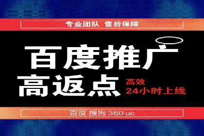 SEM投放策略优化案例分析
